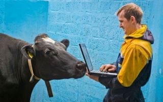 Featured image for article about Top Stories