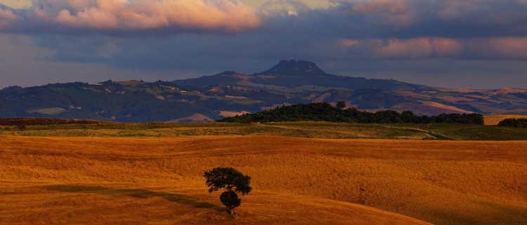 Featured image for article about Top Stories