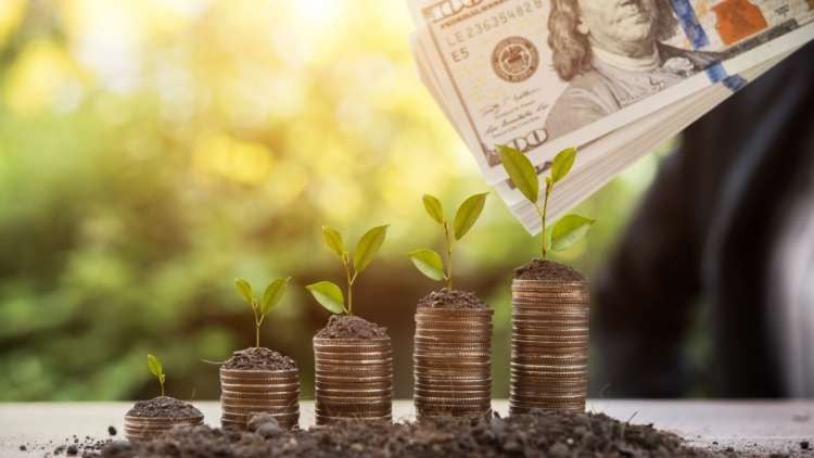 Featured image for article about Investing