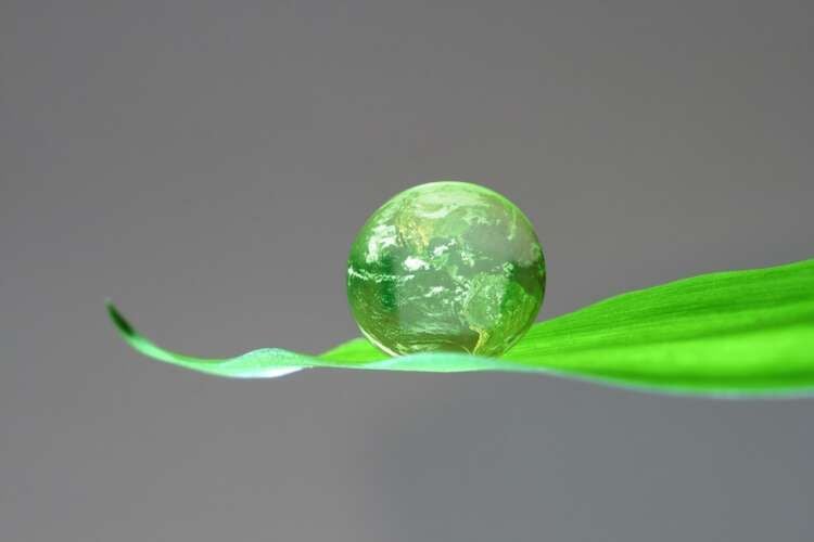 Featured image for article about Investing