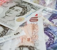 Featured image for article about Trading